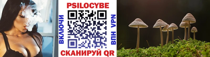Галлюциногенные грибы Cubensis  Светлоград 